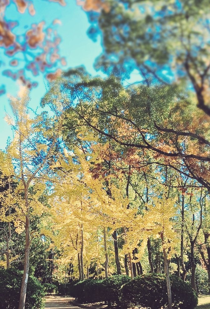 function_rikei's tweet image. #12月も仲良くしてくれる人いいねかリプ 
左のん再掲なのでお気に入りの写真を添えといたよ