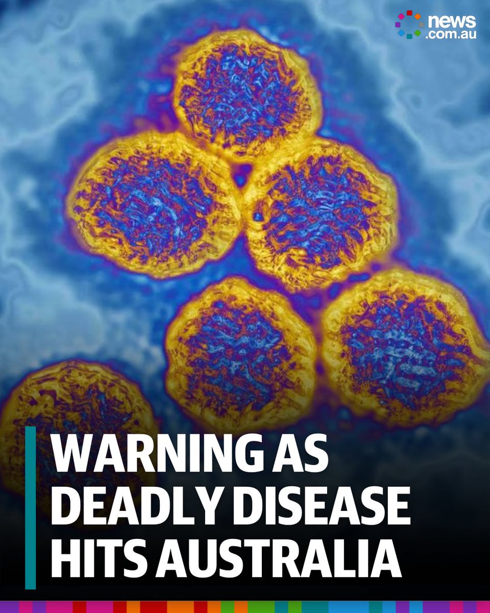 newscomauHQ's tweet image. A mosquito-borne virus capable of causing severe brain infection has been confirmed in one state, prompting an urgent warning. Full story: bit.ly/3KrcpNC
