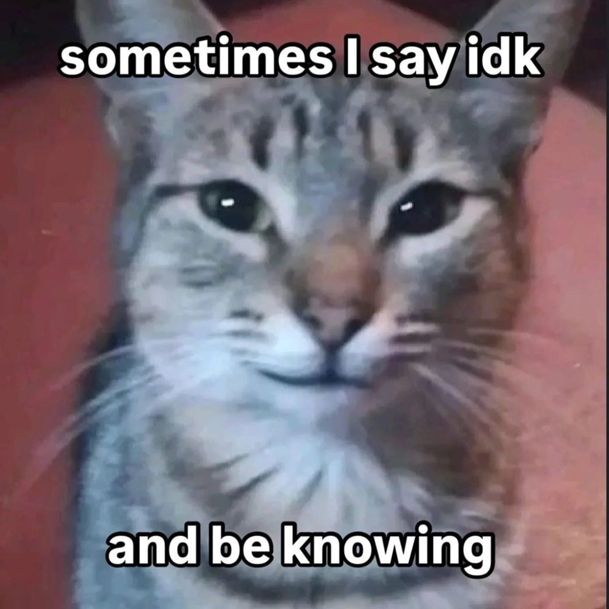 YJ (@yjwavy) on Twitter photo 