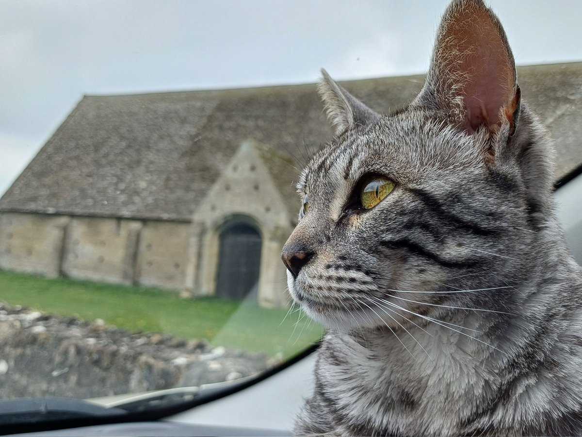 brew_with_view's tweet image. This one is from Sylvie&apos;s tithe barns of the Cotswolds tour from earlier in the year
#AlphabetChallenge #WeekWforWindows 
#viewfromthevan 😺