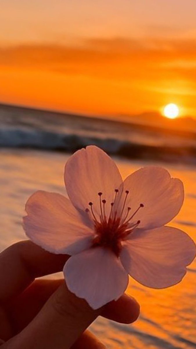 😌🌷
الصباح نافذة أمل، ترى من خلالها روعة الحياة، 
وتخبرك أن أحلامك قد تتأخر بعض الشيء، لكنها ستشرق مثل الشمس عاجلاً غير آجل. 🌤️
مهما كثرت الهموم المحيطة بك، وكان قلبك مثقلاً بالمضايق والهواجس، لا تيأس. الفرج قادم لا محالة، 
فبعد الضيق يأتي الفسحة برحمة الله الواسعة.