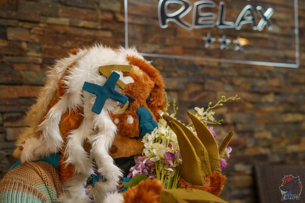 #Pawska2025

📷 <a href="/LunosWolf/">Lunos</a>