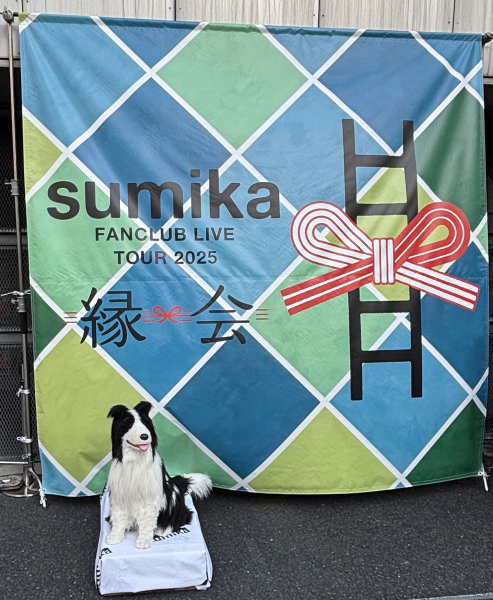 うめこ (@1plIYagpCyA1uDc) / Posts / X