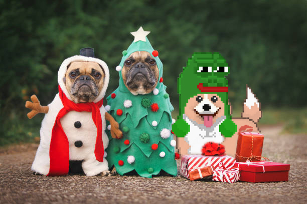 CryptoCorgis tweet media