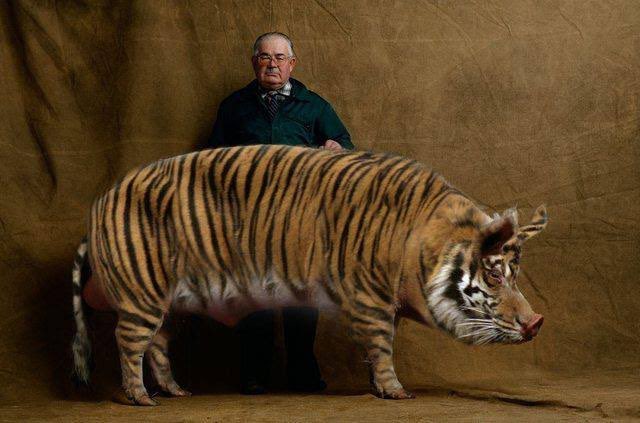 MKB_Backup's tweet image. Side view