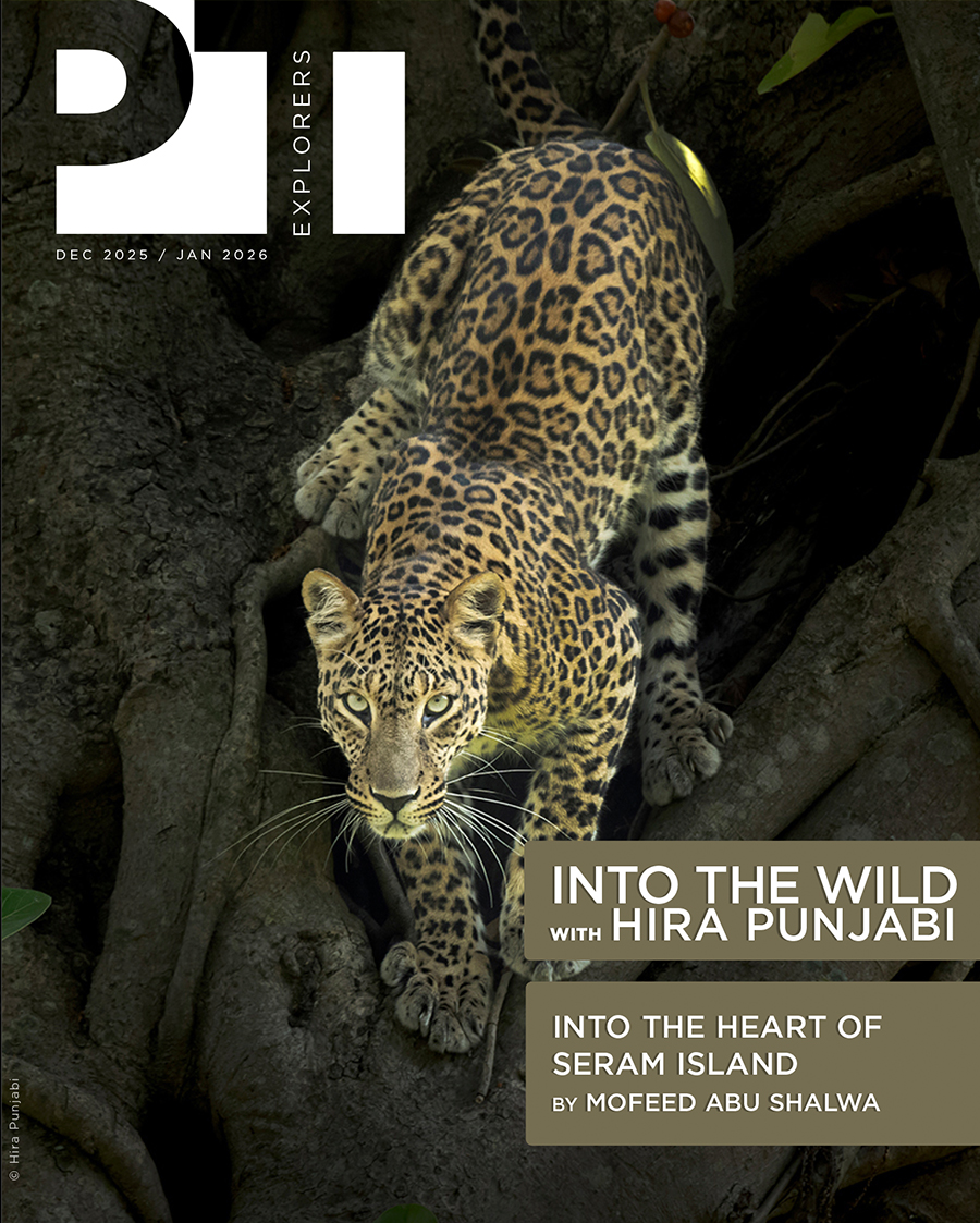 Welcome to the 49th edition of PT Explorers, a tribute to wilderness, photography, and conservation. This issue brings together inspiring stories that remind us why the wild matters.
pawstrailsmagazine.com/editions/editi…