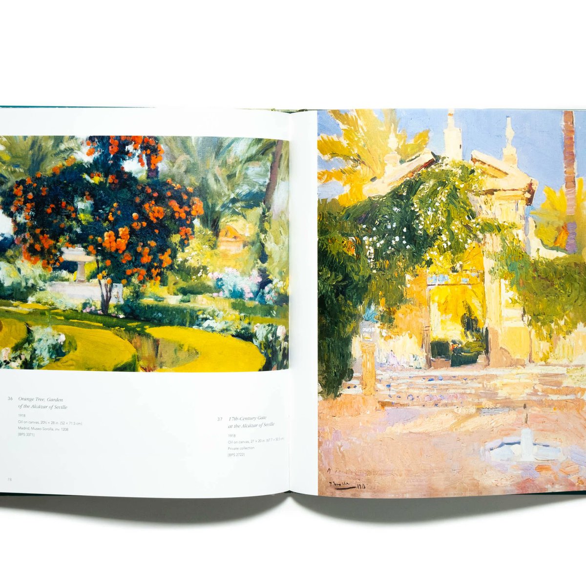 スペインの画家、ホアキン・ソローリャ（1863〜1923）の画集。風光明媚