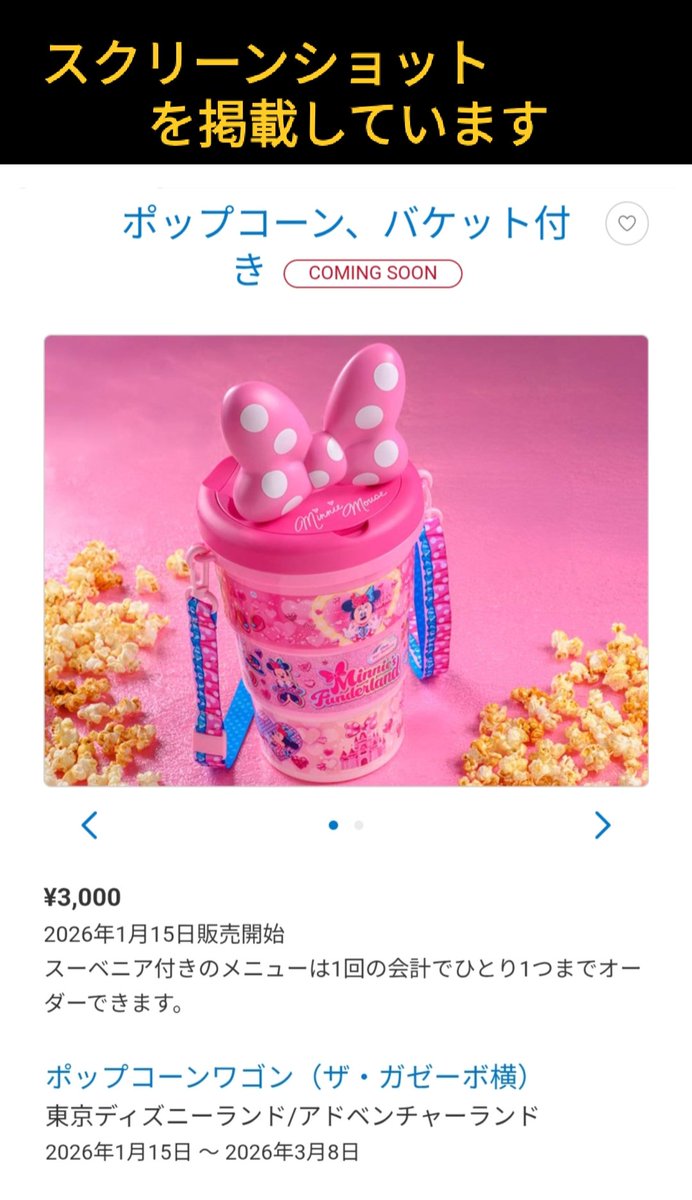 1/13 ミニパル 3段式 ポプバ りぼんもたためる! ミニーちゃん