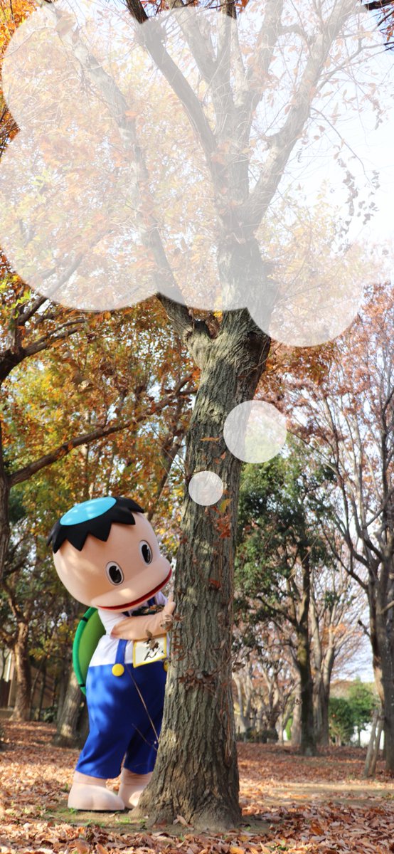 ＼✨キューちゃんの壁紙を配布します✨／

市公式キャラクター認定を記念し、かっぱのキューちゃんの壁紙を無料配布します💝
待ち受け画面などに、キューちゃんをお迎えしてください📱🫶

#牛久市 #観光協会 #公式キャラクター
#うしくさんぽ #かっぱのキューちゃん