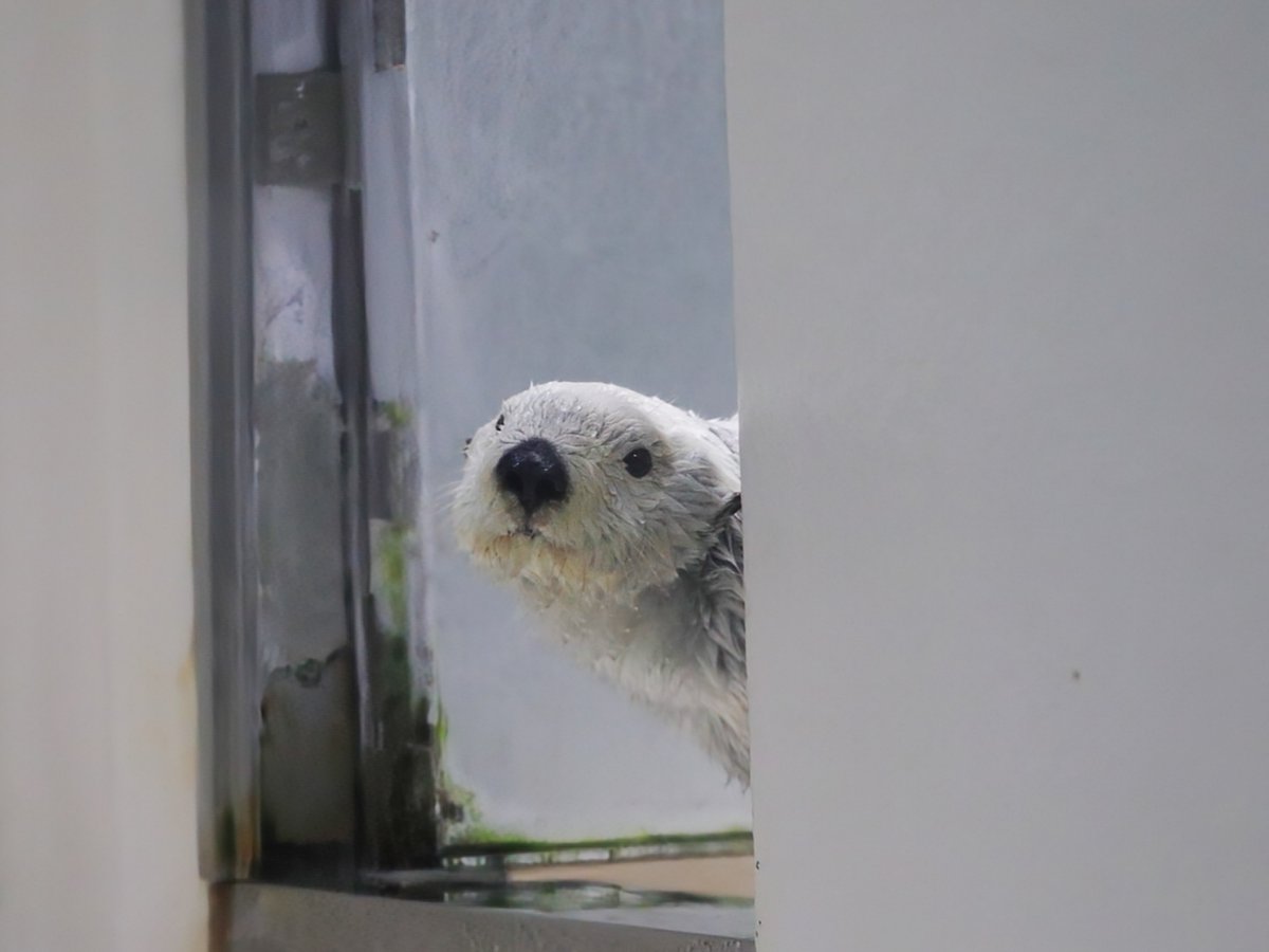 mukinkO (@mukinko) / Posts / X