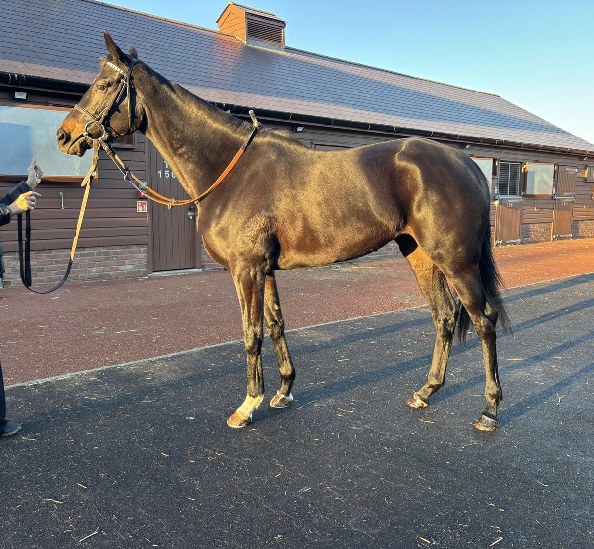 Grant Tuer Racing tweet media