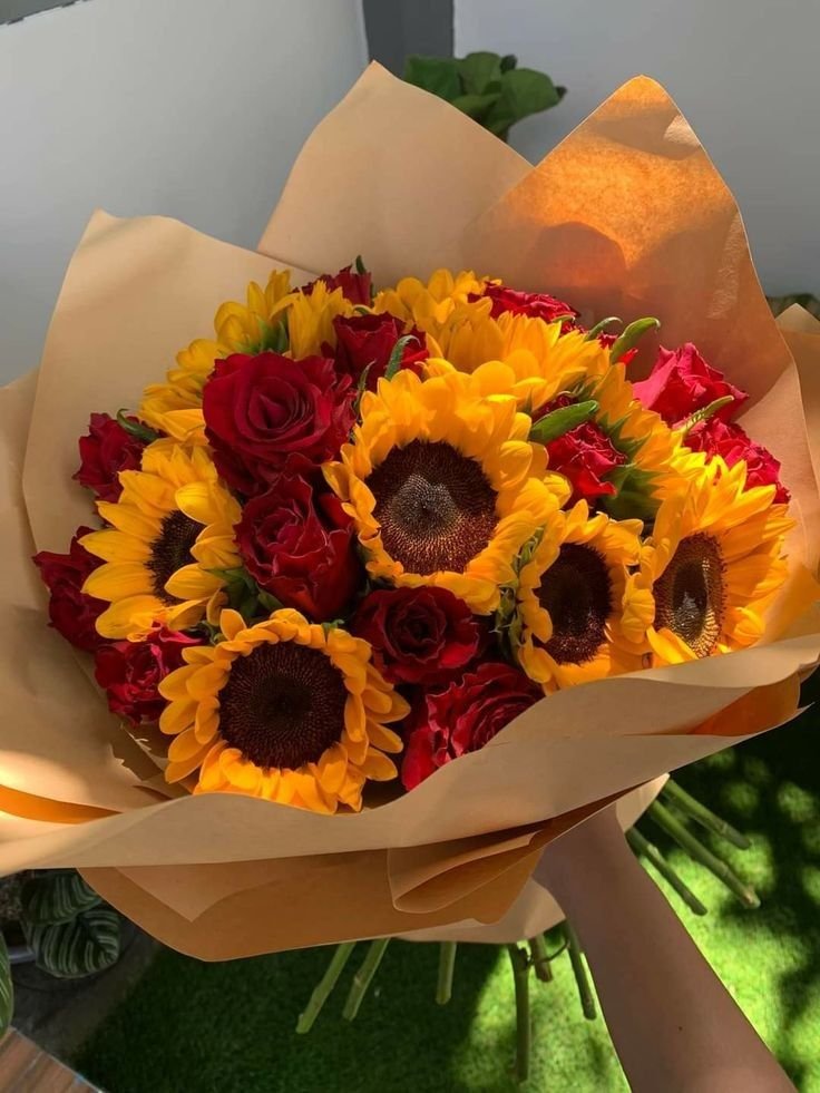 sunflowerchives's tweet photo. Which one?? https://t.co/Y6YhOvh6C1