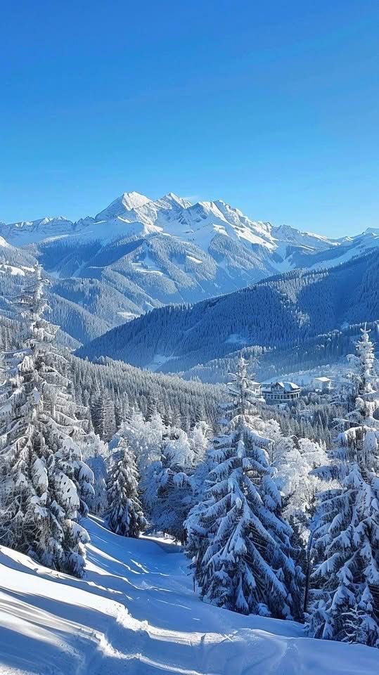 Seize the day!
Make it amazing and crazy!🩵