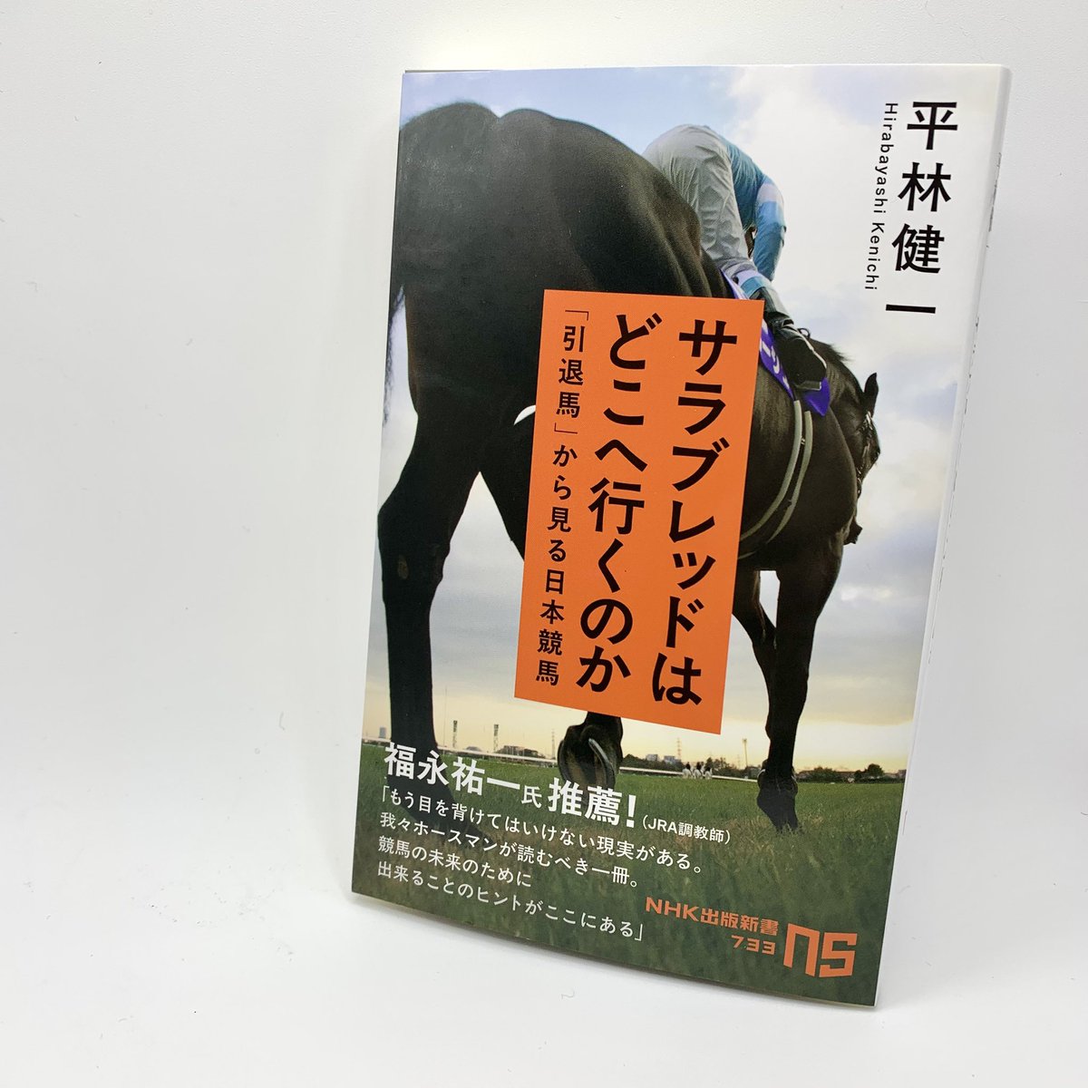 平林健一『サラブレッドはどこへ行くのか』(NHK出版新書)より──

「私たちは、楽しさや利益といった競馬のポジティブな面と、引退馬に対しての後ろめたさなどのネガティブな面とを天秤にかけ続けている。それは恐らく、これからもそうだ。