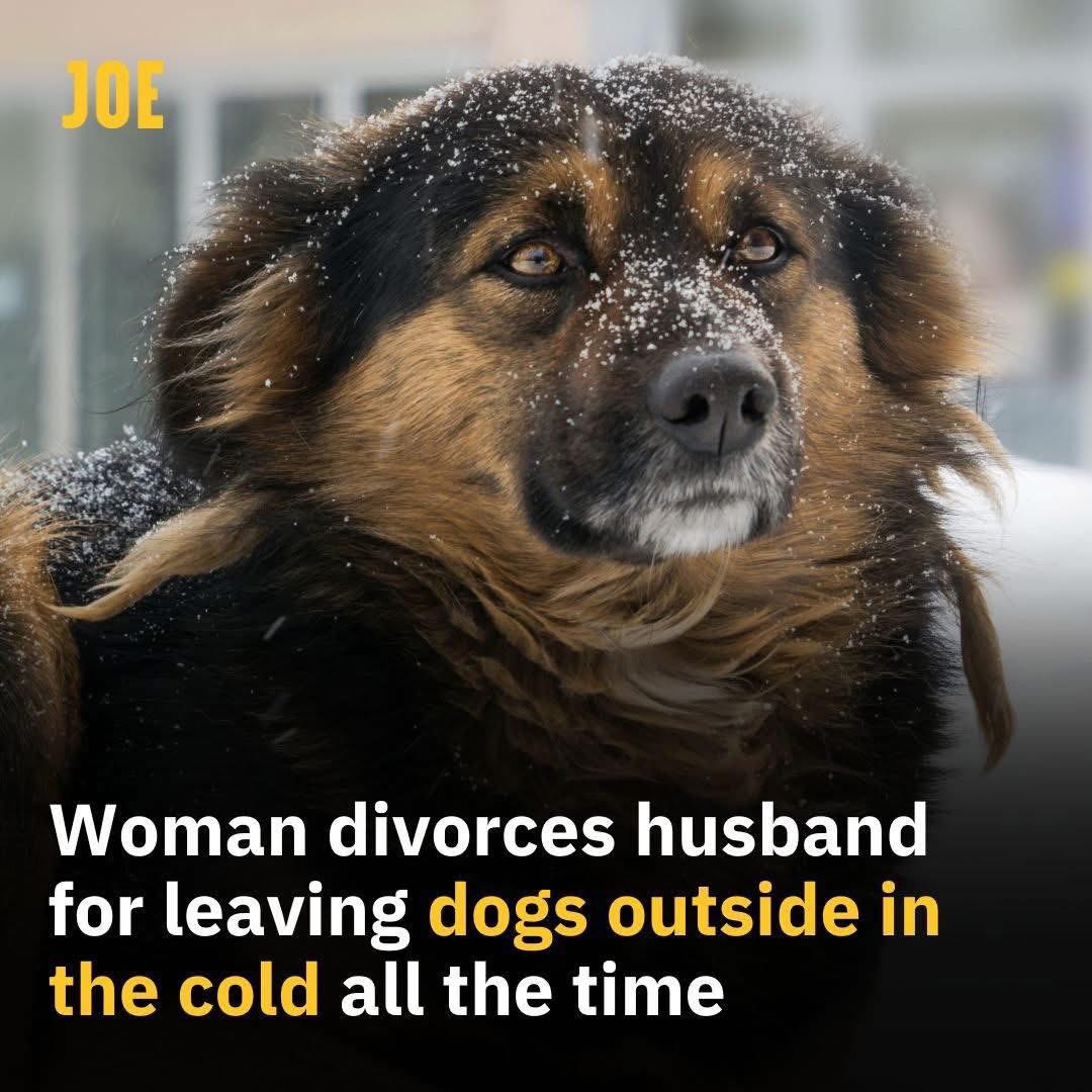 domdyer70's tweet image. Good decision