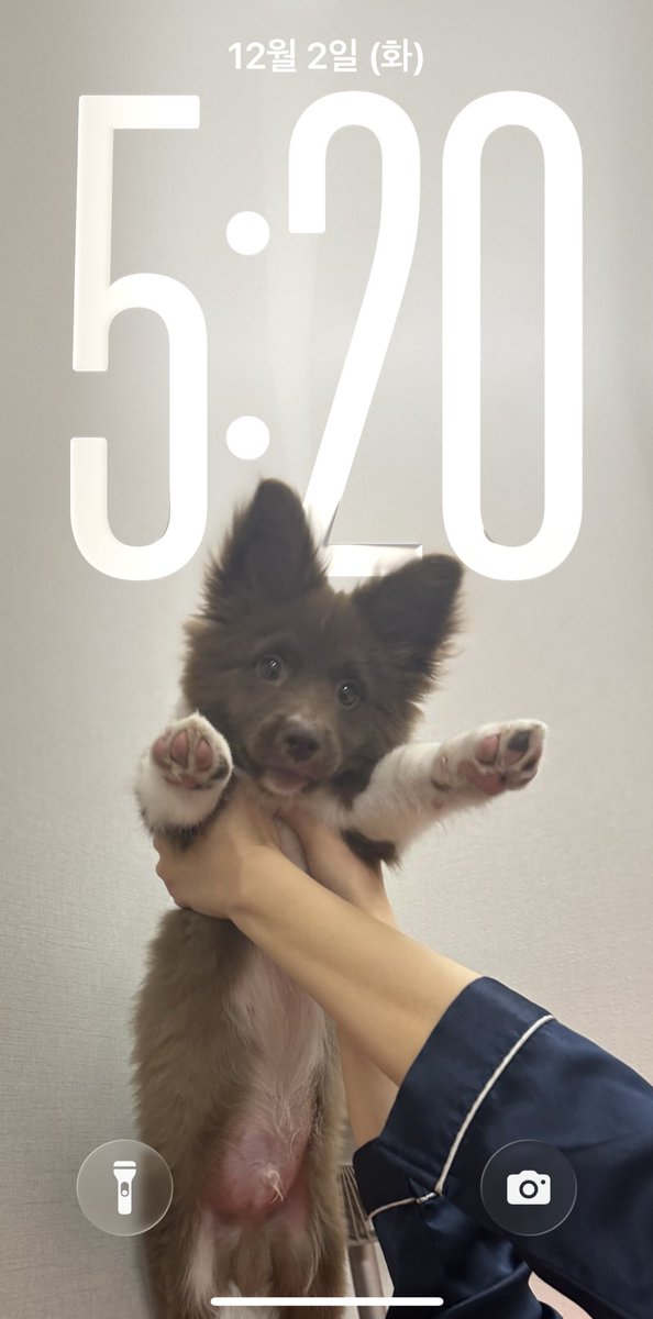 눌러보세요..
똥깨배에 압도당함....