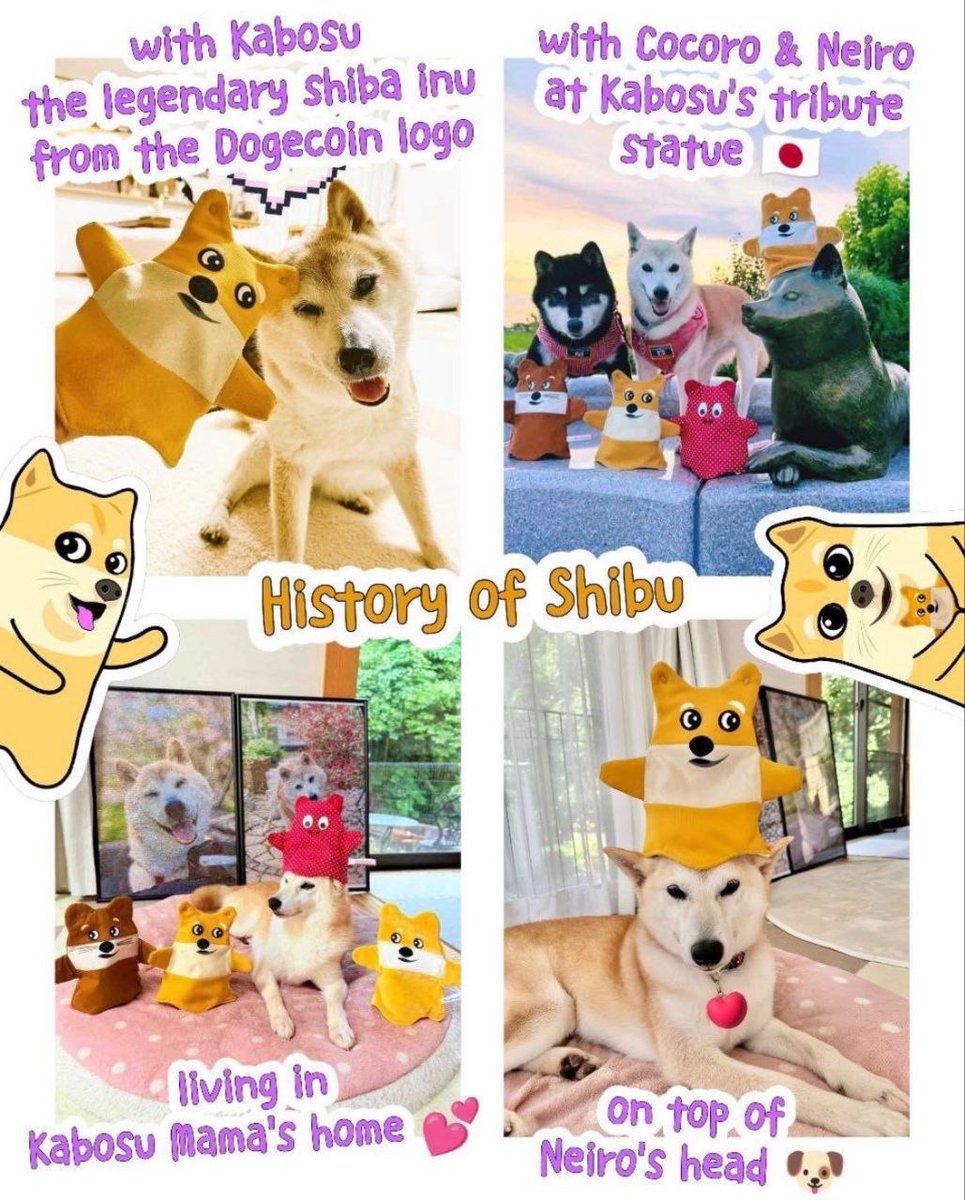 <a href="/WhaleOfGems/">Whale Of Gems</a> $SHIBU is the one, Kabosumama loves and support shibu ❤️

7Mxvi7bi5bnjELB4QNzQ4VrQEPeBgPbWwbfwE1ydBAGS

<a href="/ShibuCoinSolana/">Shibu</a>