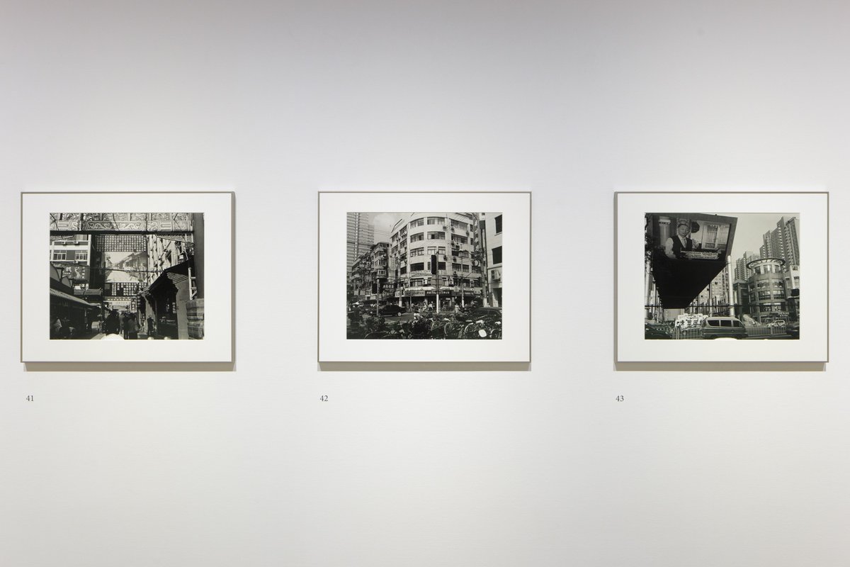 ペドロ・コスタ監督 初期3作品『血』『溶岩の家』『骨』劇場初公開