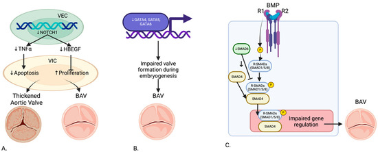 Applsci's tweet image. ☀️ Welcome to read these review papers in the Section "Applied Biosciences and Bioengineering"!
1. The Impact of #Sulforaphane on Sex-Specific Conditions and #HormoneBalance: A Comprehensive Review
by Jed W. Fahey and Mirran Raphaely
mdpi.com/2076-3417/15/2…
2. The Use of
