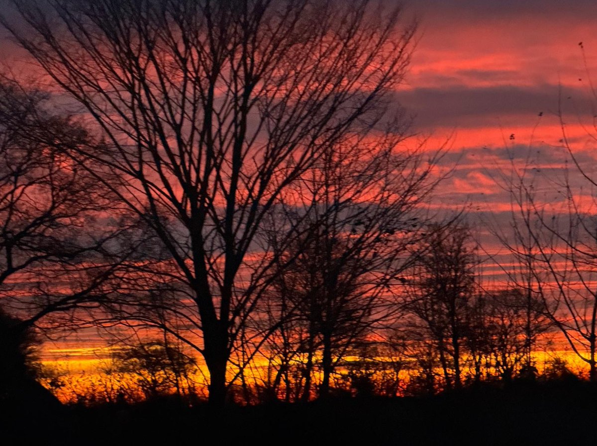 BQuiel's tweet image. 📷Sonnenaufgang in Dithmarschen am 2. Dezember 2025.📷