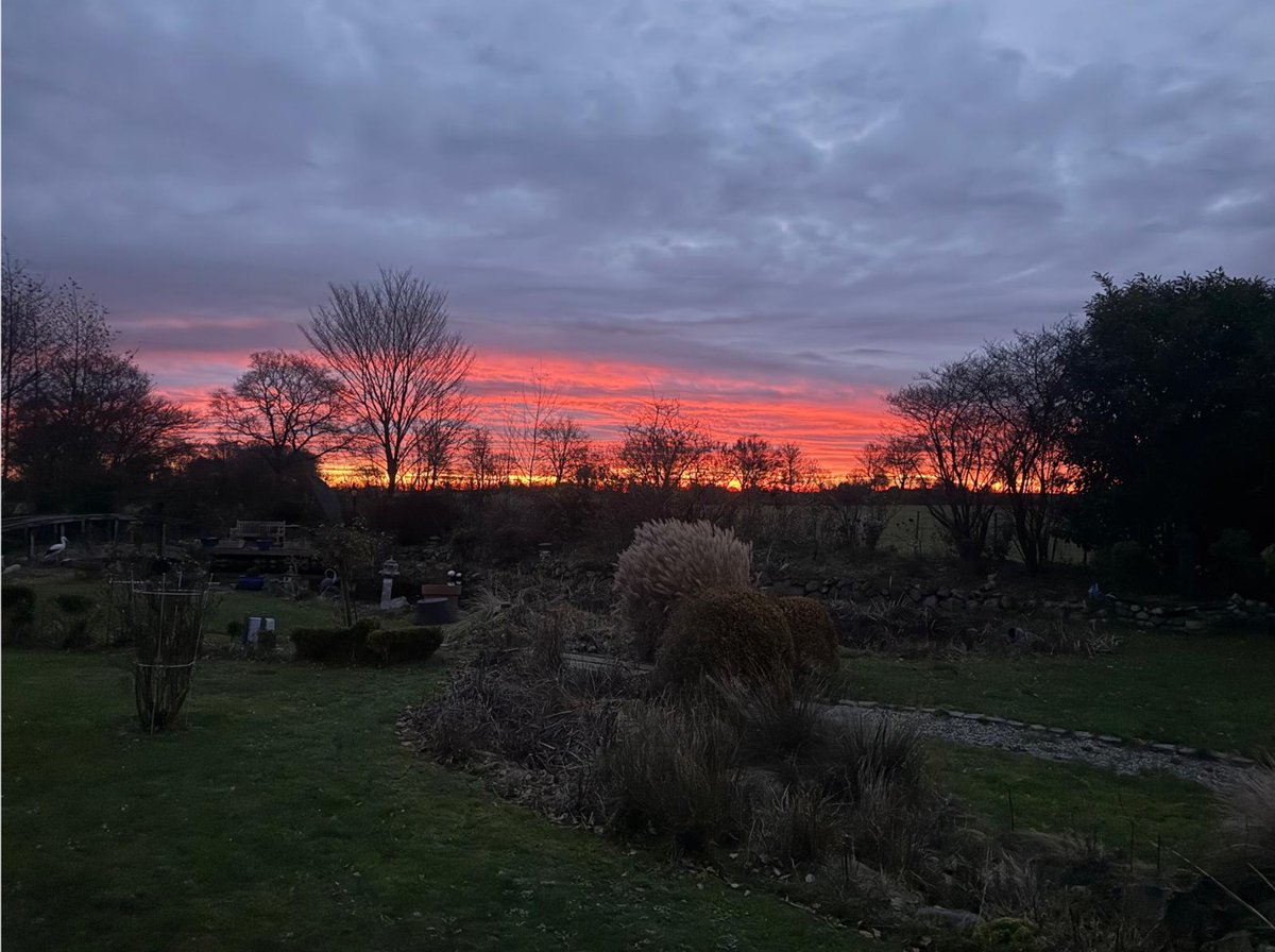 BQuiel's tweet image. 📷Sonnenaufgang in Dithmarschen am 2. Dezember 2025.📷