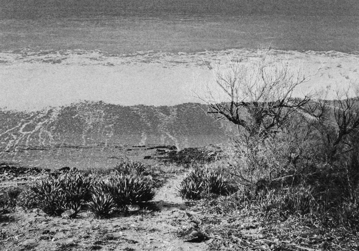 coralinesaidso's tweet image. want to thank these beautiful people for collecting my #monotez pieces 

✶ devour my heart i beg you ✶

✶ Seam ✶ collaboration with @CinziaGabrielPH 

@dcastoART @FieryHe4rt @iocivedo @ArtMonochrome2 @libertyvisions_ @CipherVoss 

objkt.com/@coralinesaidso