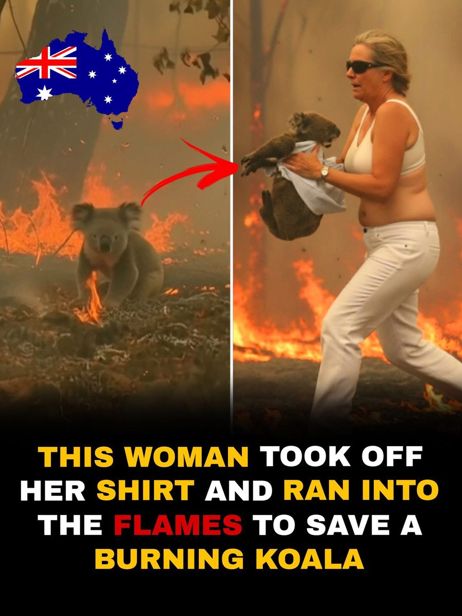 AN AUSTRALIAN MOTHER BRAVELY SAVES A BURNING KOALA 🐨🔥💔

In the middle of a raging bushfire, Australian grandmother Toni Doherty did something extraordinary — she ran straight into the smoke, tore off her shirt, and used it to rescue a terrified, burning koala.

The koala,