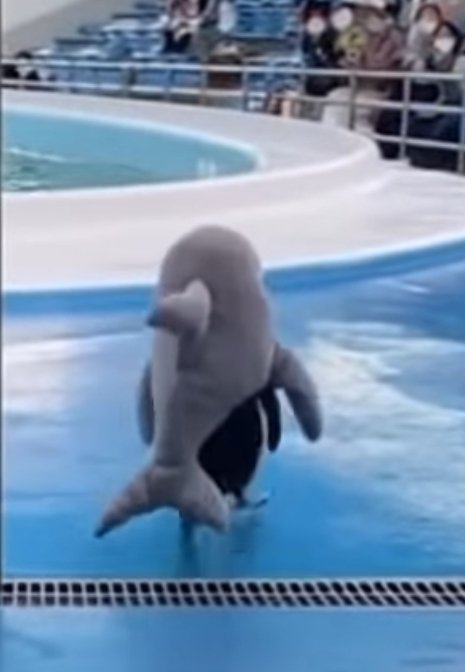 Bellerophontis2's tweet image. Gm 😘 to all space 
Keep it up strong my friends 

Positive today&apos;s things:
1. @AbstractChain XPs updates
2. 6 new @PlayPudgyParty characters &amp;amp; a new season 
And I&apos;m entering a...
MERRY MAYHEM mood
Plus real $PENGU spotted 👀