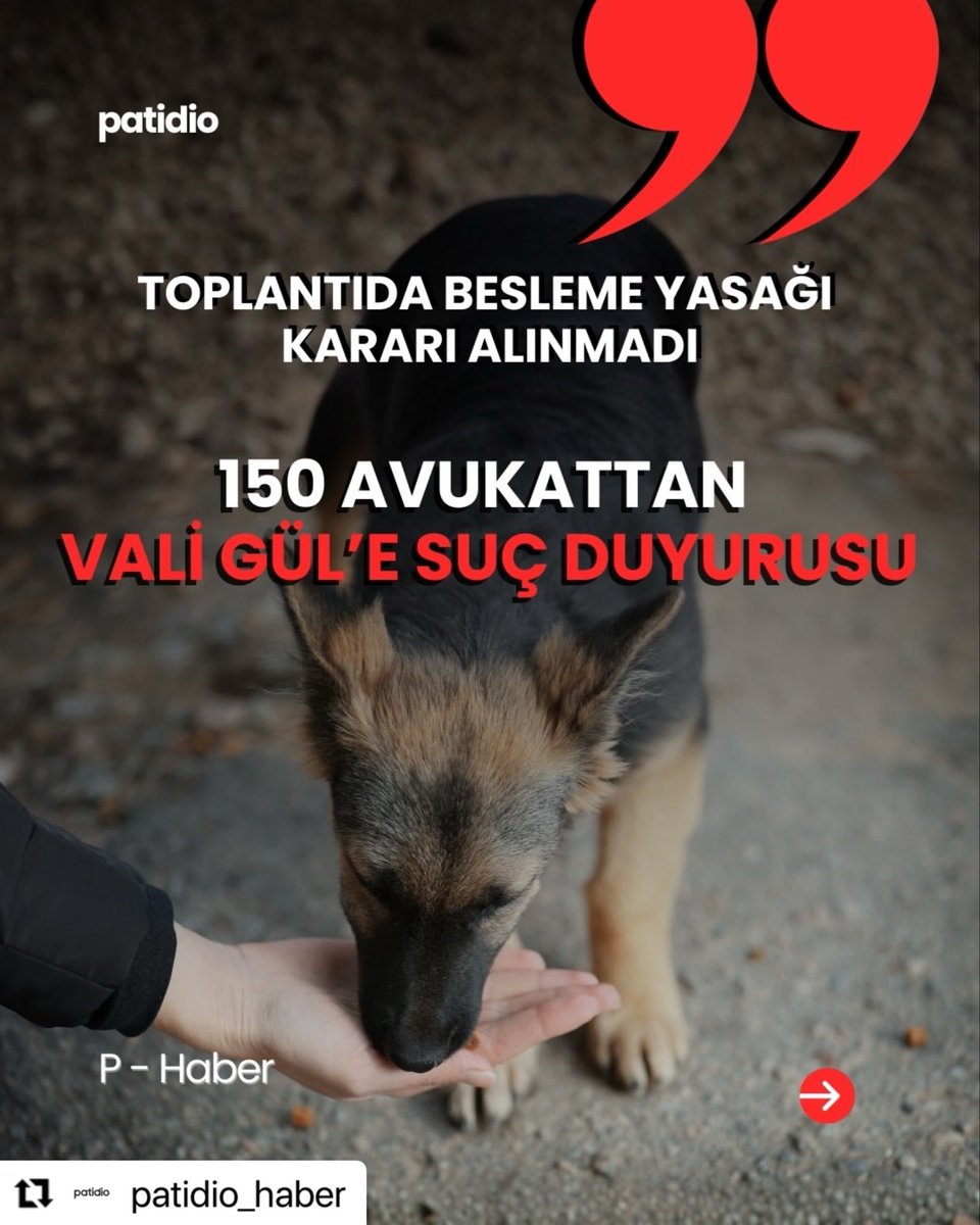 Av.Kübra OKTAY tweet media