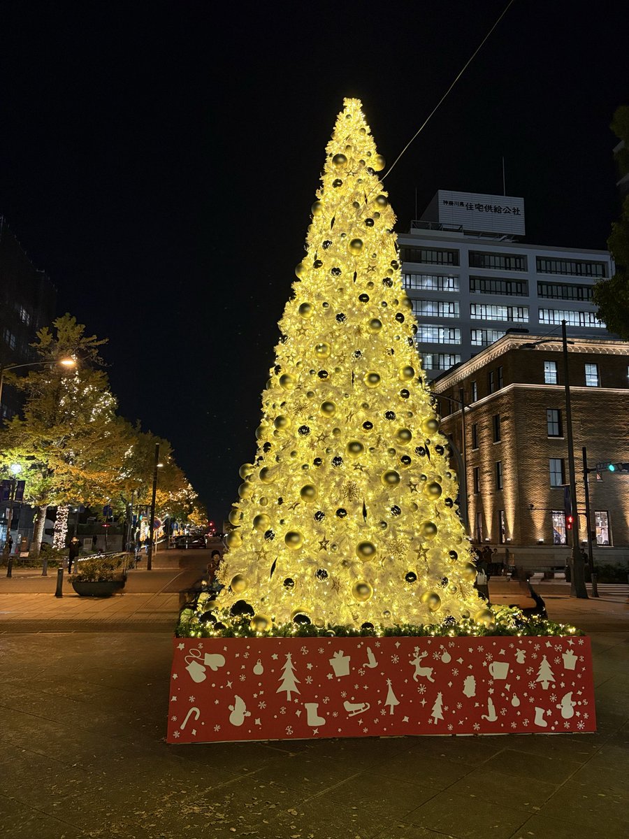 しらたま (@shiratama_shi) / Posts / X