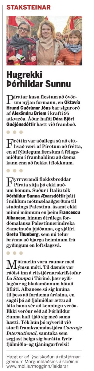 Kannski Píratar séu eftir allt einfaldlega það sem nafnið þeirra vísar - ótýndir glæpamenn?