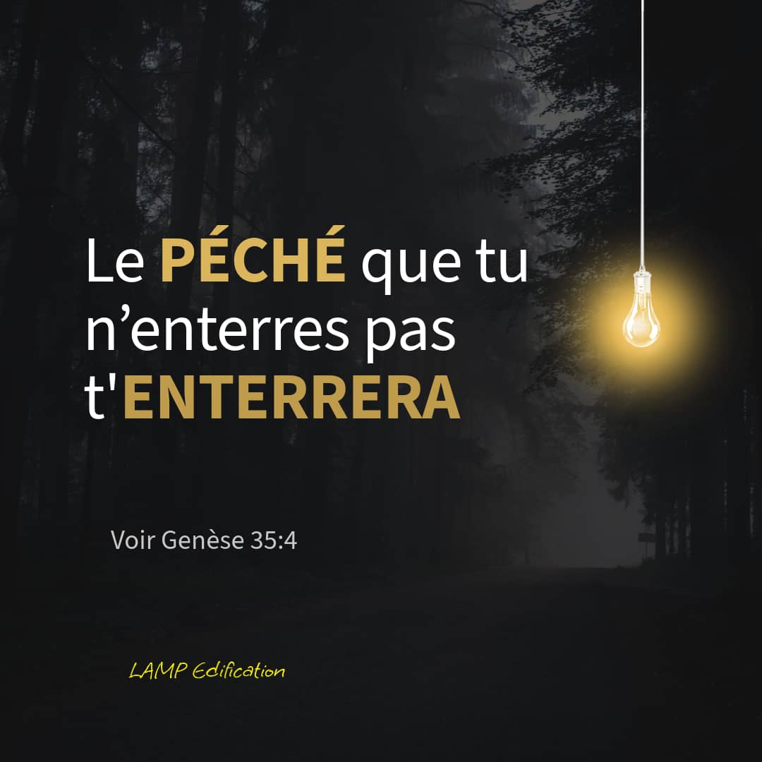 LAMP Edification tweet media