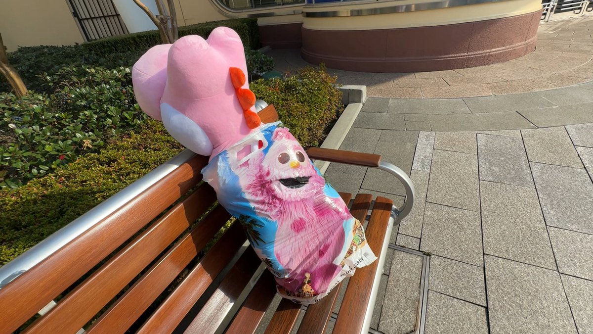 まめちゃん🌱 (@tamachankamoyo) / Posts / X