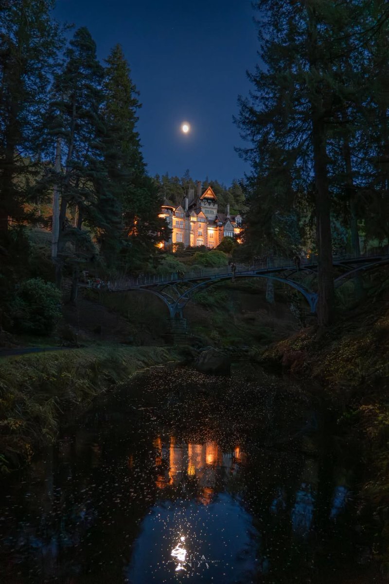 Whitelee Cottages tweet media