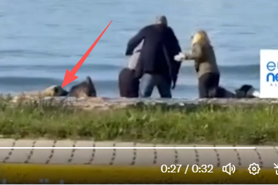 WatchingReplay's tweet photo. @kos_data This dog bit the old man. Woke animal rights activists are so dumb. Y'all lose perspective of the real world. https://t.co/yMDCzQ6Gfn