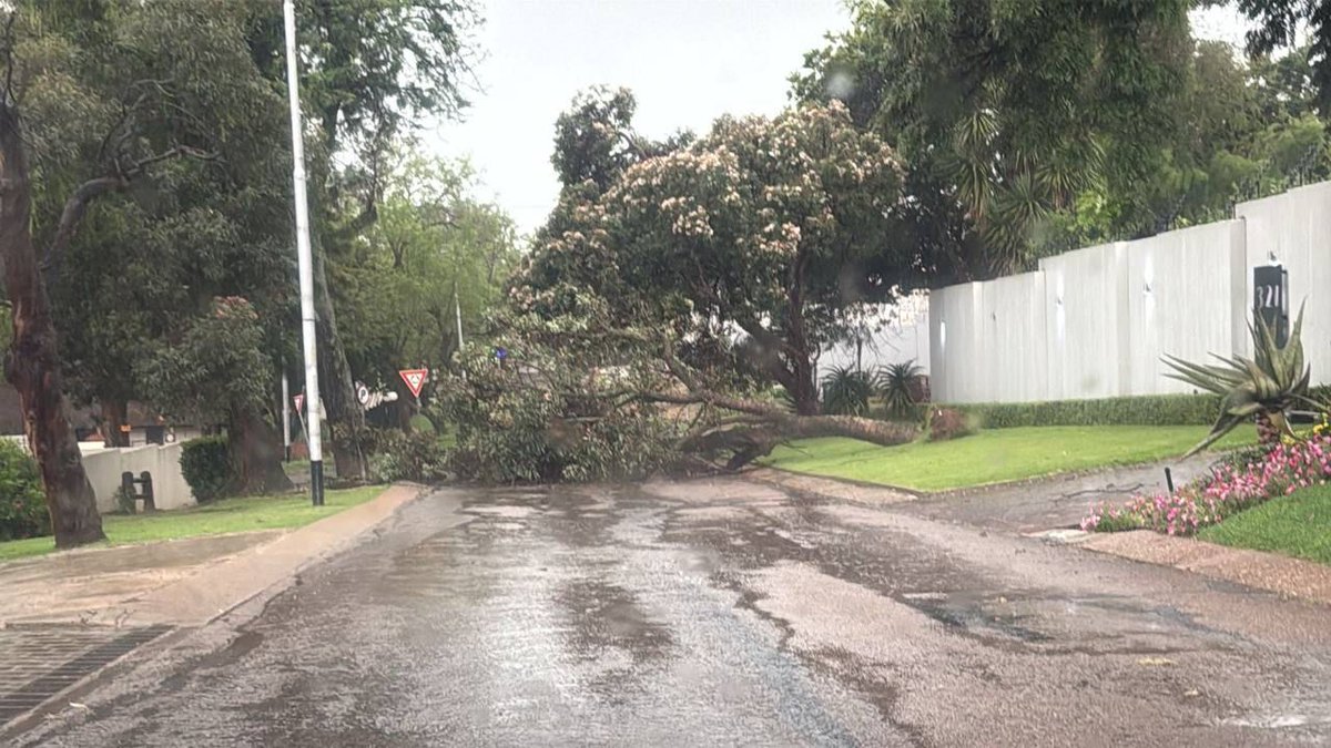 _ArriveAlive's tweet photo. Six Fallen Trees Cleared across the Brooklyn, Waterkloof, and Muckleneuk areas

https://t.co/tkN2xFVja5

#ArriveAlive #FallenTrees #WindDamage https://t.co/A7gJxpXebn