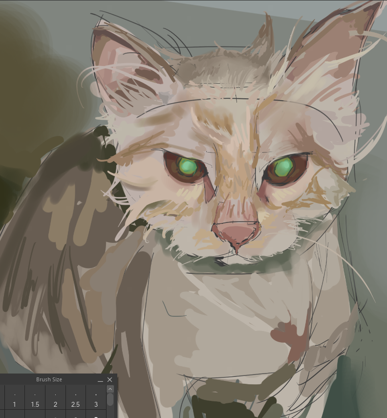 D4rween's tweet photo. cat https://t.co/esJfQyqGVv