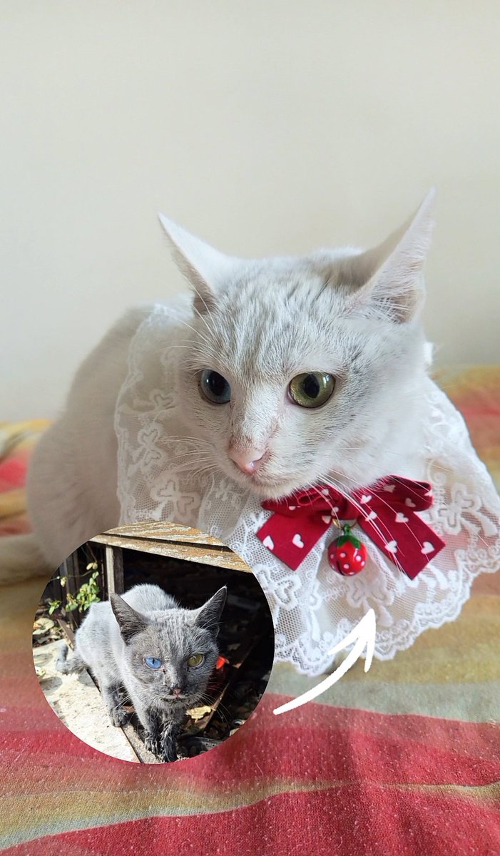 🌸BOLU-DÜZCE YUVA🌸
Bu kızın hâlâ yuvası olmadığını biliyor muydunuz :(