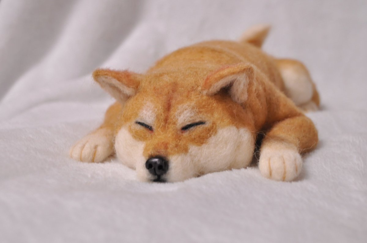 Satoyoumou's tweet photo. おねんねする柴犬をメルカリに出品しました。裏側が妙に愛しいです笑
ご縁がございましたら嬉しいです✨

https://t.co/ZivP3IzxLo

#羊毛フェルト
#ハンドメイド
#柴犬
#しばいぬ
#メルカリ https://t.co/yrzqDrSaeI