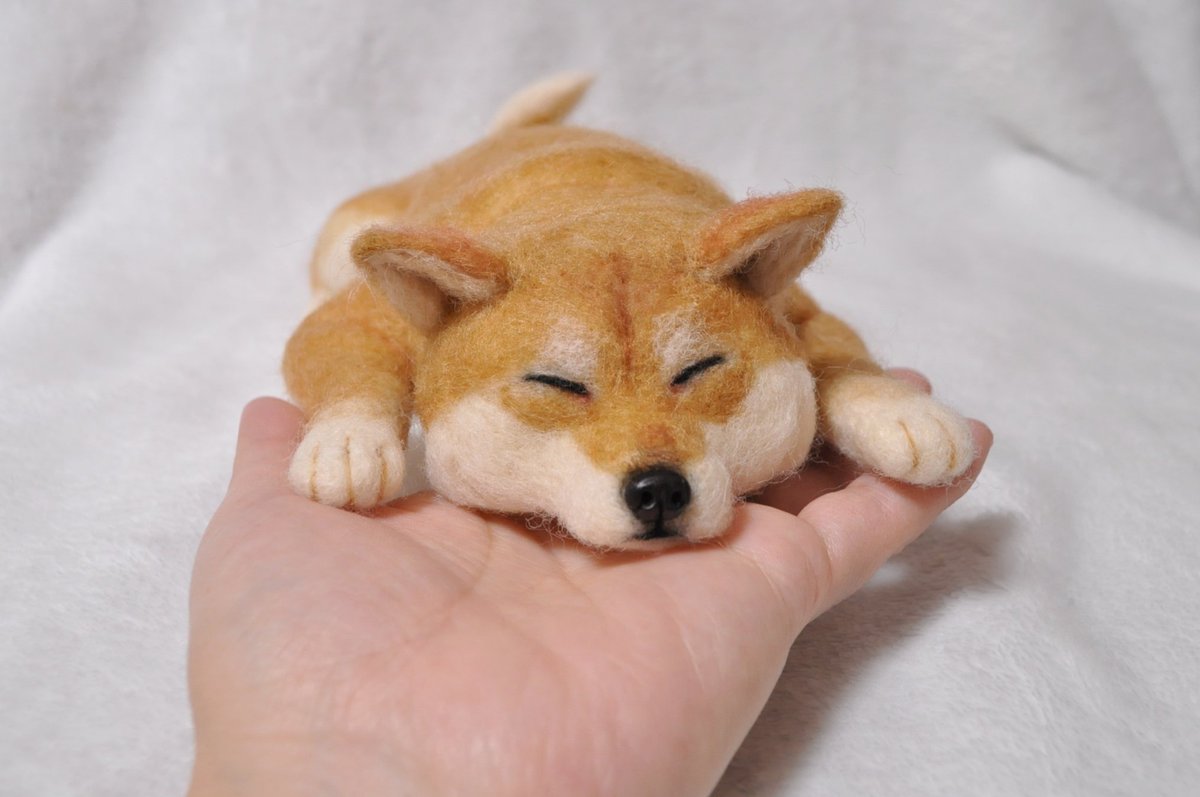 Satoyoumou's tweet photo. おねんねする柴犬をメルカリに出品しました。裏側が妙に愛しいです笑
ご縁がございましたら嬉しいです✨

https://t.co/ZivP3IzxLo

#羊毛フェルト
#ハンドメイド
#柴犬
#しばいぬ
#メルカリ https://t.co/yrzqDrSaeI