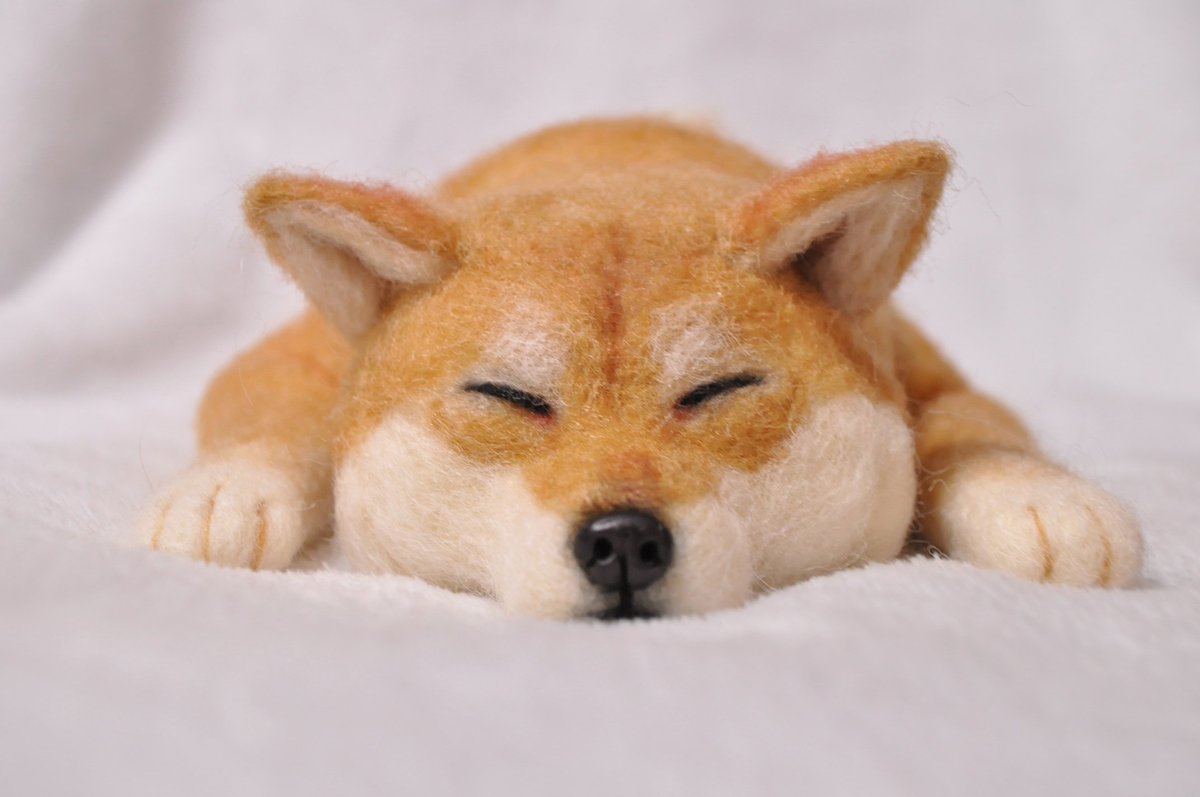 Satoyoumou's tweet photo. おねんねする柴犬をメルカリに出品しました。裏側が妙に愛しいです笑
ご縁がございましたら嬉しいです✨

https://t.co/ZivP3IzxLo

#羊毛フェルト
#ハンドメイド
#柴犬
#しばいぬ
#メルカリ https://t.co/yrzqDrSaeI