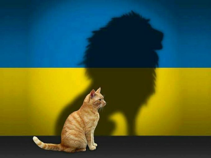 <a href="/sergeantkit/">CO "Sergeant Kit" / ГО "Сержант Кіт"</a> <a href="/MrR0b0tFella/">MrRobot fella</a> <a href="/kakkaroolari/">Haitari Selville fella 🇫🇮🏴‍☠️</a> <a href="/quignor/">Quignor</a> <a href="/TerracideX/">Henrik Jensen 🇺🇦 🇩🇰 ✌️</a> <a href="/BaconFella_5th/">BaconFella the 5th 🇩🇰🇺🇦</a> <a href="/KimAlPedersen/">KP Fella 🐦🦋</a> <a href="/esx1422/">RandomFella🇺🇦 🇬🇪</a> <a href="/Paul251927/">Paul 🇺🇦🇧🇷</a> <a href="/Siglind/">Volsungar #Fella🇩🇪🇳🇴🇺🇦 🦩</a> <a href="/DerAelst/">Bo zen men Patatten 🥔 Fella 🥔</a> <a href="/DebbieNester1/">Debbie Nester🌸 Free 🇺🇦 Stand With Israel 🇮🇱!</a> <a href="/AdriK0438922467/">RoBotDemo🇷🇴</a> <a href="/Oldguysrules00/">JR - Fella</a> <a href="/LizogybMarina/">Марина Лизогуб</a> <a href="/dorina2x/">dorina</a> <a href="/bitadze_Shota/">ShoTa-TERMINATOR fella</a> <a href="/petrik_vn/">Сергій Петрик</a> <a href="/Koncentrovane/">Концентроване зло 💜</a> <a href="/mode23976/">warriors for freedom 🇬🇪 🇺🇦</a> <a href="/RichieForUA/">Richie</a> <a href="/v1ka_p1ka/">Віка Піка</a> <a href="/Wolfytoine/">wolfytoine, same name on the other place</a> <a href="/S_bk1301/">Svitlana, sbk1301 in the good place</a> <a href="/Dima58031Sendra/">sendradmitro</a> <a href="/dmitropiper/">Dmitro Chernyayev</a> <a href="/BayouNichole/">bayoublues 🌻🇺🇲🇺🇦🇲🇫🌻</a> <a href="/mburgess90/">Michael Burgess 🇬🇧🇺🇦</a> <a href="/Vladimir590482/">Vladimir</a> <a href="/Bf_ghost_ua/">Благодійний фонд Привид</a> <a href="/anya_27_/">Anya</a> <a href="/sky_dar_/">НЕТА 🫦</a> <a href="/galagan_tamila/">Міла</a> <a href="/svora_go/">FatheRoman</a> <a href="/DimaZapo/">Dima Zapo 🇺🇦</a> 😺🦁 💙💛