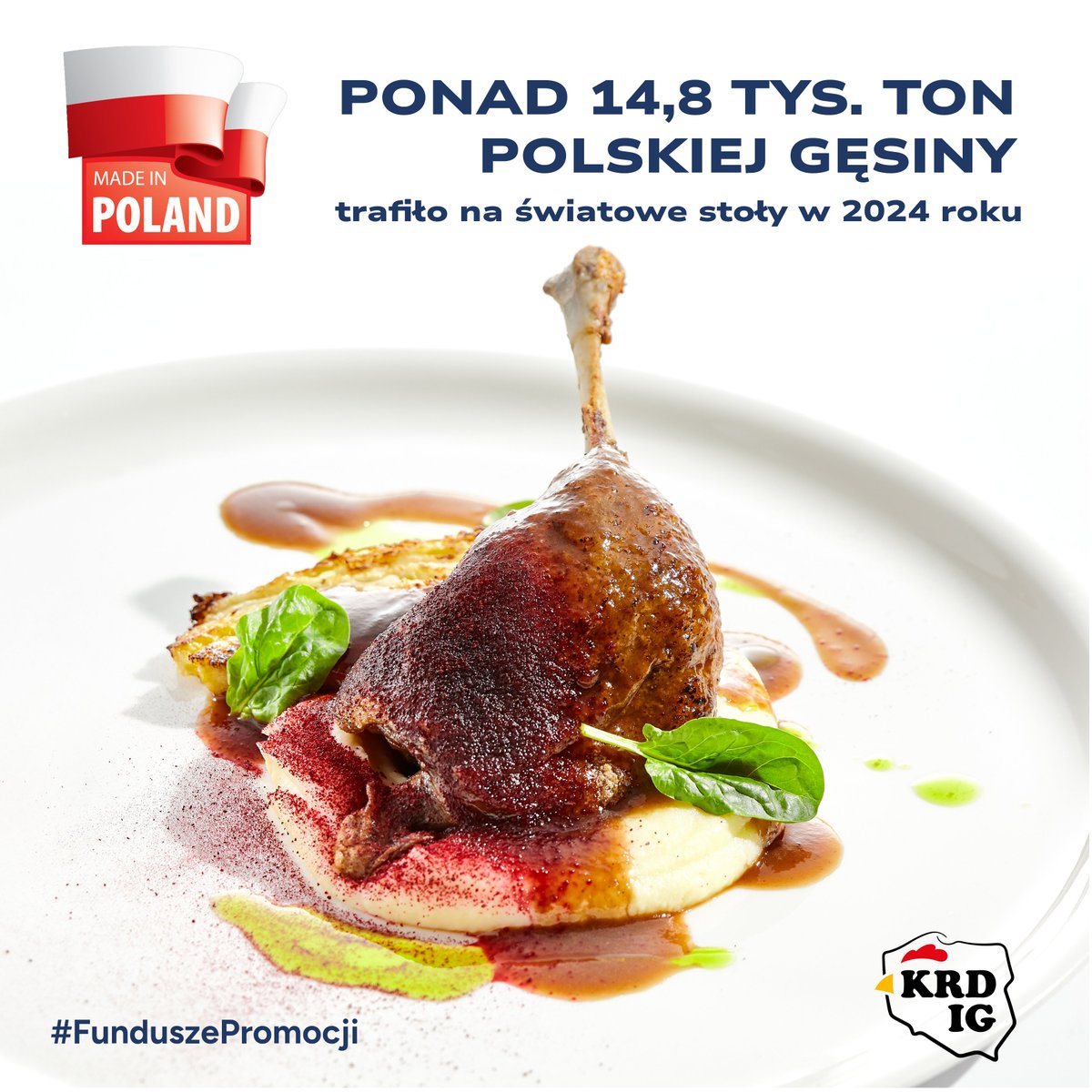 Polska gęś owsiana to prawdziwy ambasador polskiego rolnictwa.
W 2024 roku z Polski wyeksportowano ponad 14 857 ton mięsa gęsiego, z czego większość stanowiła właśnie gęś owsiana z Kołudy.
Najwięksi odbiorcy polskiej gęsiny to:
- Niemcy (aż ok. 65% całego eksportu)
- Francja
-