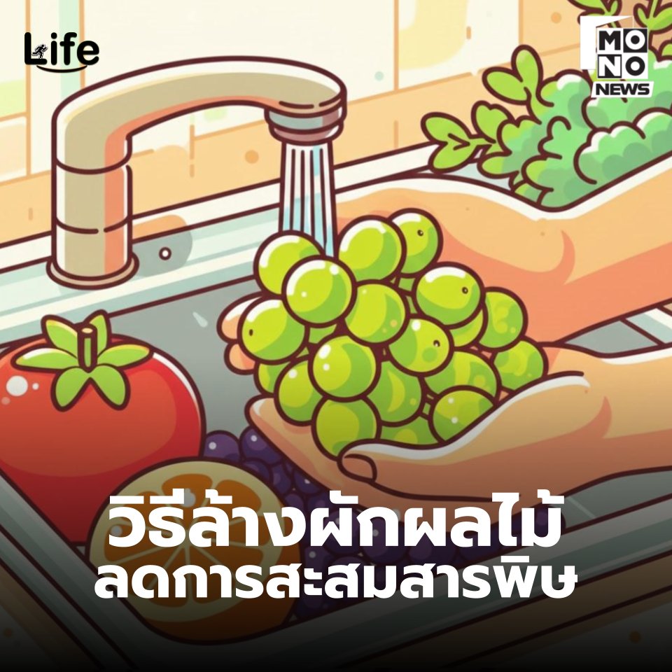 🥬5 วิธีล้างผัก-ล้างผลไม้ ลดการสะสมสารพิษ
.
เพื่อความสะอาดปลอดภัย ก่อนนำผักผลไม้ไปปรุงอาหารหรือรับประทาน การทำความสะอาดก่อนนั้น จะช่วยลดความสกปรก และสารพิษที่ตกค้างอยู่บนผักได้ ขอแนะนำทริคในการล้างผักง่าย ๆ ให้สะอาดและช่วยลดสารพิษมาฝากทุกคน
.
1. น้ำส้มสายชู