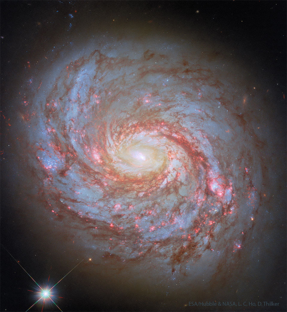 bigborisoff's tweet photo. This galaxy looks peaceful… but its center is a cosmic storm.
Meet Messier 77, where newborn stars, exploding gas, and a hungry supermassive black hole all collide.
The universe isn’t quiet — it’s alive. 🌌🔥

Follow for more mind-bending space facts. ✨
#space https://t.co/SuDVvvFXq0