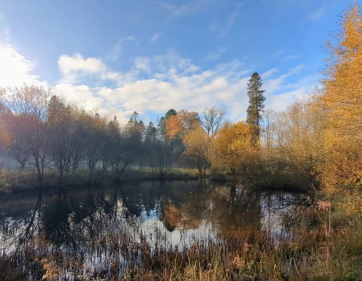welters_org's tweet image. Feeling a little warmth from the sun this morning after yesterday&apos;s rain. The colours are still magnificent here at #whithaughtower especially with the sky reflecting perfectly in the water.#Apricity #AutumnVibes #Still #NaturePhotography #GoldenHour #armstrongs #scotland #nature