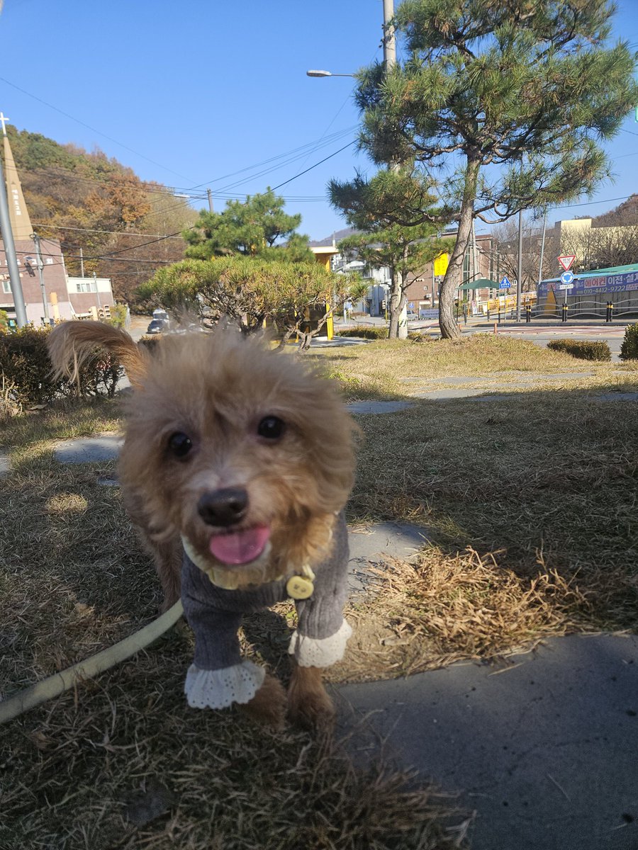 모렌도 tweet media