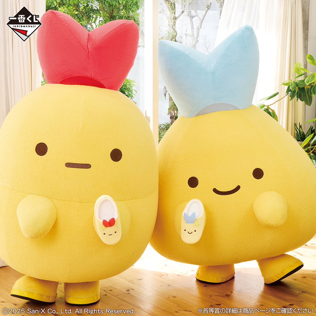 もろみ (@moro335) / Posts / X