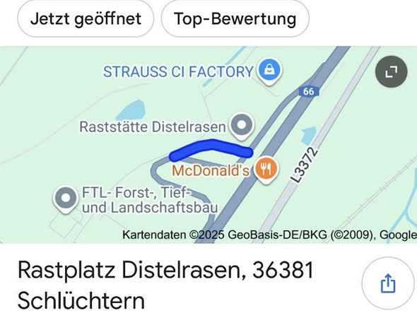yolandaschultes's tweet photo. Distelrasen 36381 Schlüchtern
Kater auf der Autobahnraststätte gefunden
Kopie: Verantwortung Leben e.V.
Fundkater Autobahnraststätte, Distelrasen 36381 Schlüchtern
Dieser sehr zutrauliche Kater, leider nicht gekennzeichnet,  lief völlig orientierungslos am 29. November Menschen hinterher und sprang einfach ins Auto. Wir können nicht ausschließen, dass das Tier dort ausgesetzt wurde, denn es gibt weit und breit keine Wohnhäuser. Wer kennt oder vermisst dieses Katerchen?
So ein zutraulichliches Tier mutterseelenallein auf einer Autobahnraststätte, das kann doch kein Zufall sein.
Infos gerne an unseren Tierschutzverein 0173 6543210.
Außerdem brauchen wir noch einen netten Namen für ihn.
Wer hat eine Idee?