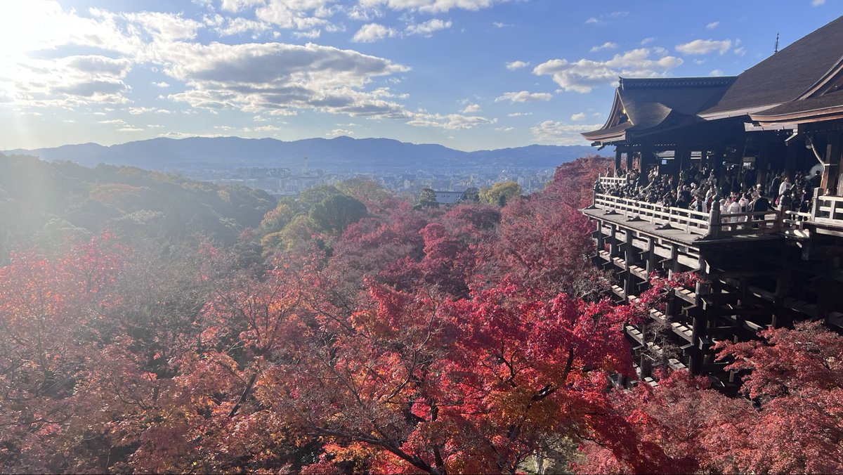 _hnlog's tweet photo. 🍁𓂃𓈒𓏸

#日常垢さんと繋がりたい https://t.co/5BO2TMAvBo